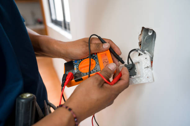 Best Ceiling Fan Installation Electrician  in Hector, MN