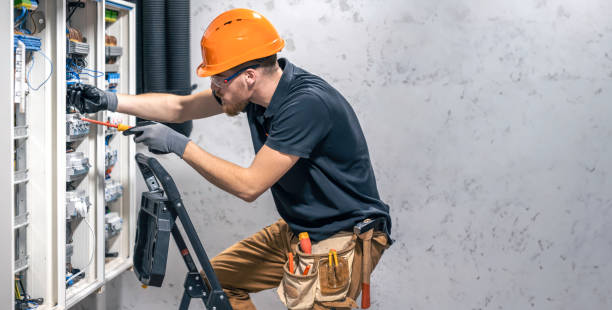 Best Electrical Troubleshooting Services  in Hector, MN